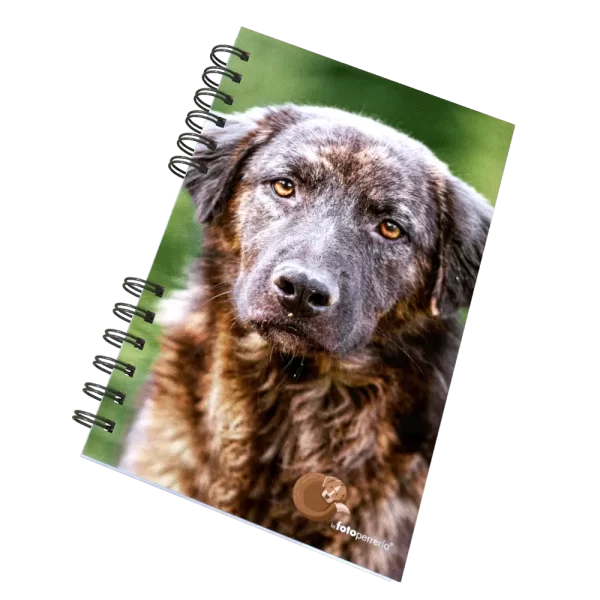 cuaderno raza canina - Adulto