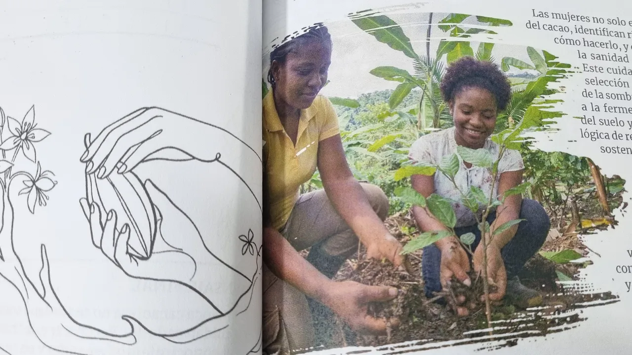 La diagramación de cartillas para proyectos sociales representa uno de los desafíos más exigentes para un profesional del diseño editorial