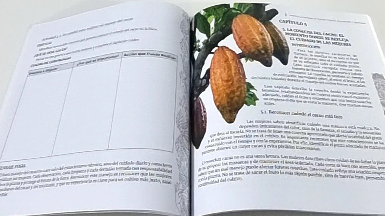 Diagramación especializada usando software Adobe Indesign